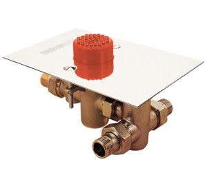 Thermostatic mixer foot button