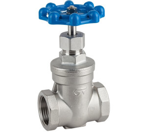 Válvula de gaveta em aço inoxidável 316 BSP