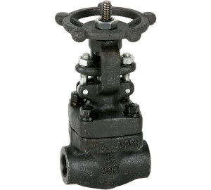 Válvula gaveta classe 800 Trim #8 NPT